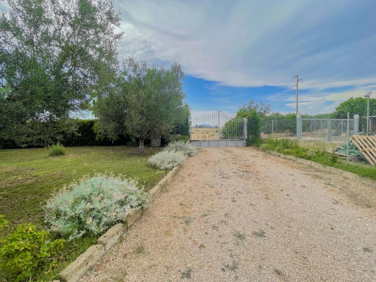Villa In Campagna Tra Natura E Verde Montalto di Castro Exterior foto