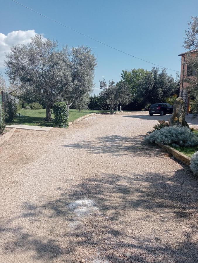 Villa In Campagna Tra Natura E Verde Montalto di Castro Exterior foto
